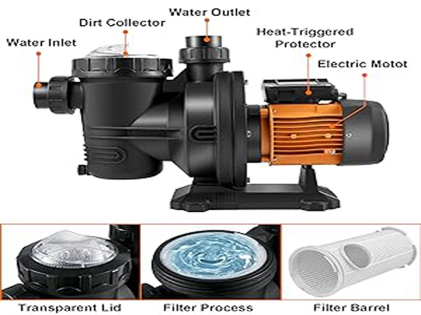 Máy Bơm Lọc Nước Hồ Bơi Glong Motor