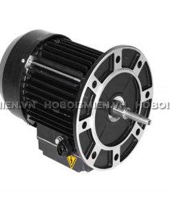 Động Cơ Máy Bơm Bể Bơi Gemas FLOODER